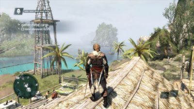 Assassin's Creed IV: Black Flag screenshot 5