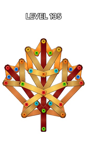 Screw Puzzle: Nuts and Bolts screenshot 2