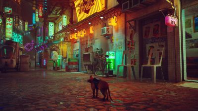 Stray screenshot 2